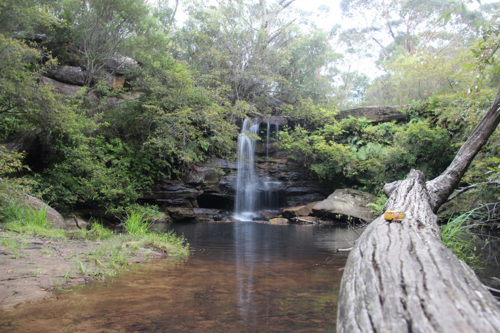 Bodo_Manly.Dam1_L