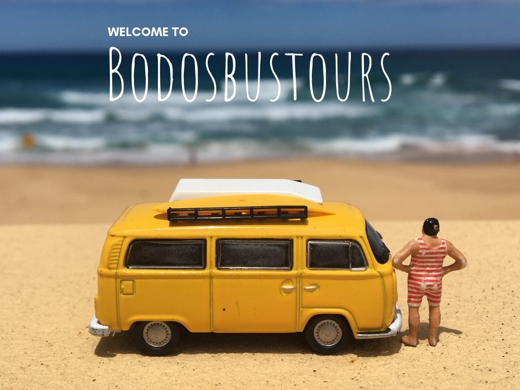 Bodosbustours beach